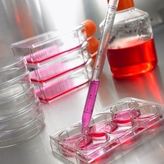 Life Sciences Products and Equipment Corning